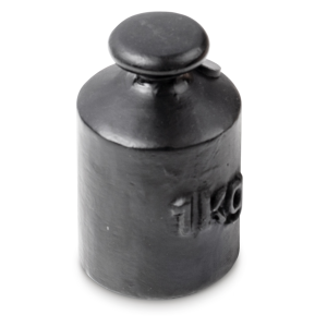 Controlegewicht KERN 366-94