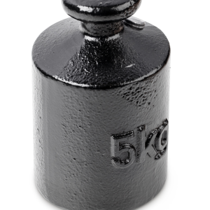 Controlegewicht KERN 366-96